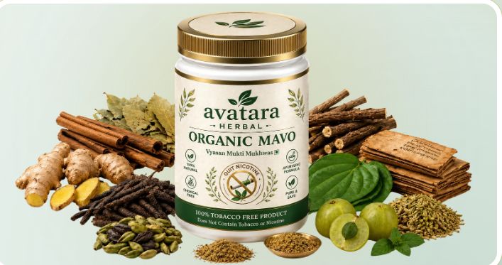 Organic Mavo